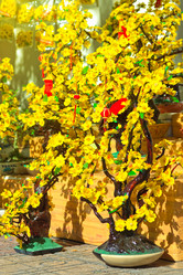 Similar image 723364