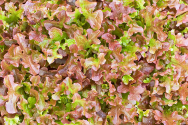 Similar image 723457