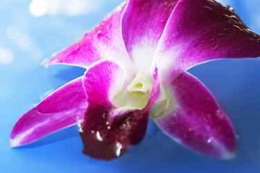 Similar image 723464