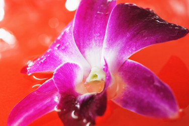 Similar image 723465