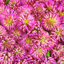 Similar image 723479