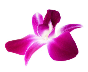 Similar image 723501