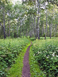 Similar image 723503