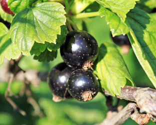 Similar image 723513