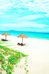 Similar image 723611