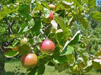 Similar image 723653