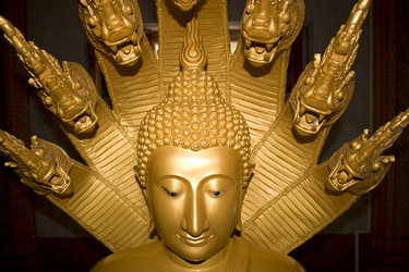 Similar image 723654