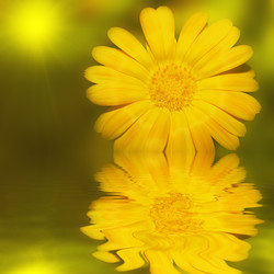 Similar image 723658