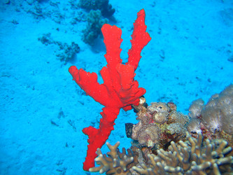 Similar image 723659