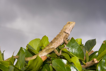 Similar image 723660