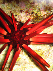 Similar image 723670