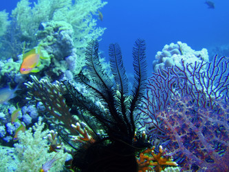 Similar image 723676