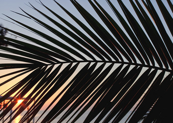 Similar image 723753