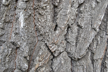 Similar image 723765