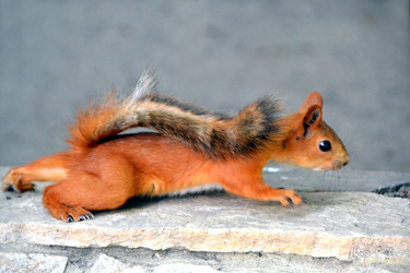 Similar image 723779