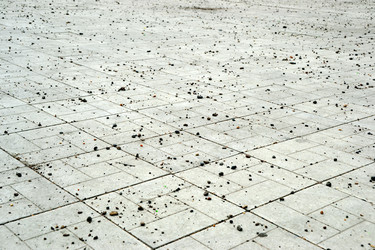 Similar image 723781