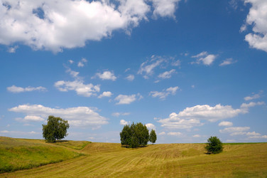 Similar image 723784