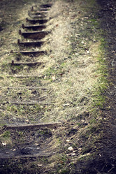 Similar image 723785