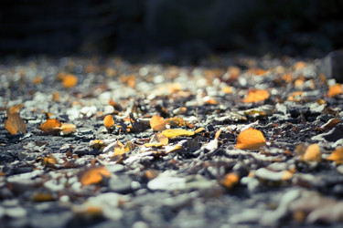 Similar image 723788