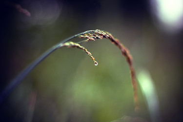 Similar image 723789