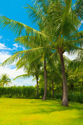 Similar image 723800