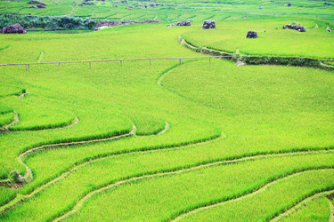 Similar image 723808