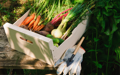 Similar image 723825