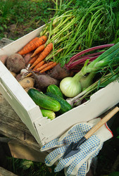 Similar image 723826