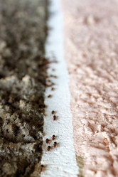 Similar image 723827