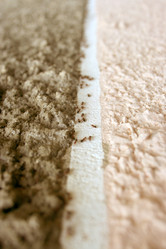 Similar image 723828