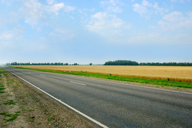 Similar image 723842