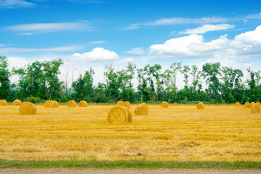 Similar image 723849