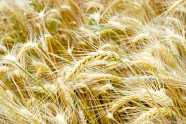 Similar image 723853