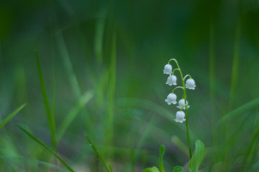 Similar image 723854