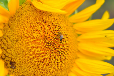 Similar image 723862