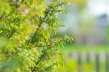 Similar image 723874