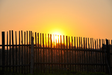 Similar image 723886