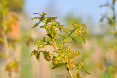 Similar image 723888