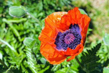 Similar image 723892