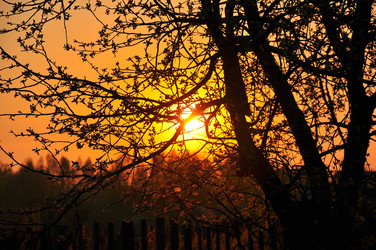 Similar image 723894