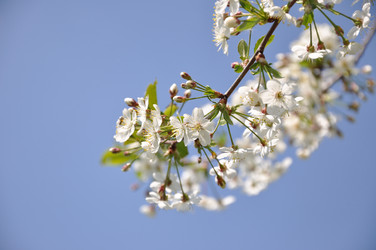 Similar image 723895