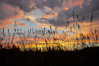 Similar image 723898