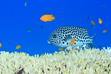 Similar image 723914