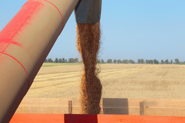 Similar image 723915