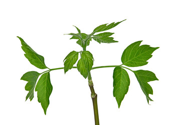 Similar image 723933