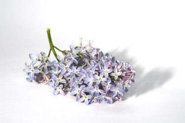 Similar image 723942