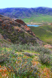 Similar image 723950