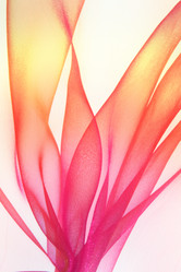 Similar image 723956