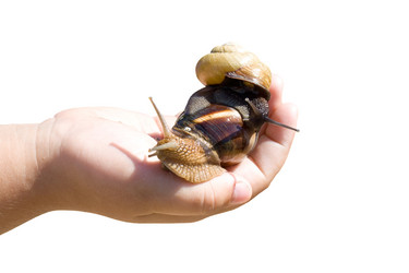 Similar image 723990