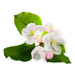 Similar image 723997